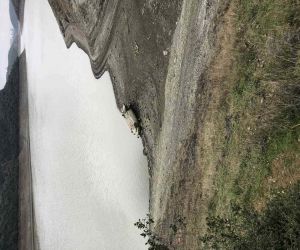 Alibey Barajı’nda duran 3 araç çıkartıldı