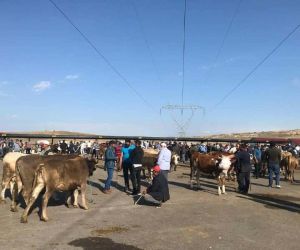 Bayburt’ta canlı hayvan pazarı kapatıldı, şap hastalığına rastlanılmadı