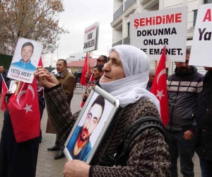 Vanlı annelerin evlat nöbeti ikinci yılını tamamladı