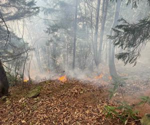 Trabzon’da ormanlık alanda örtü yangını çıktı