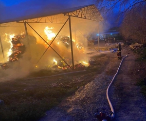 Binlerce balya saman alev alev yandı