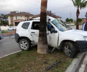 Otomobil palmiyeye çarptı, sürücü yaralandı