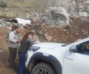 Şırnak’ta yaban keçisi avlayan şahsa 260 bin 900 TL ceza