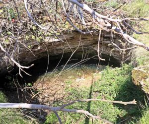 Antalya’nın göbeğinde 35 metre derinlikteki obrukta çok sayıda tatlı su canlısı tespit edildi
