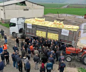 Gaziantep’te arpa ve buğday üreticilerine gübre desteği