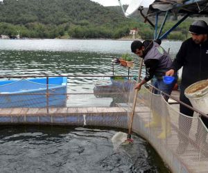 Deprem balık ihracatını da vurdu: Üretim 7 milyon ton azalacak