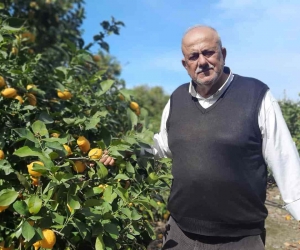 Hatay’da depolar yıkılıp dağıtım zinciri bozulunca, çiftçilerin mahsulleri ellerinde kaldı