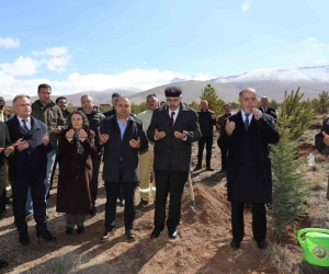 Depremzedeler için orman oluşturuldu