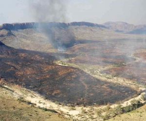 Avustralya’da yangın: 100 bin hektarlık alan kül oldu