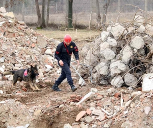 Bozkurt’taki sel felaketinde görev alan “Garip”, deprem bölgesinde de enkaz altındaki vatandaşların kurtarılmasını sağladı