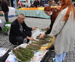 Aydın’ın acı otu, fiyatıyla da görenlerin yüzünü buruşturuyor