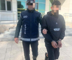 Göçmen kaçakçılığı yapan şüpheli tutuklandı