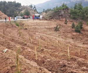 Depremlerde hayatını kaybedenler anısına bin 100 fidan toprakla buluşturuldu