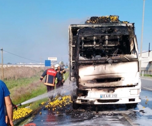 Limon yüklü kamyonda çıkan yangın maddi hasara neden oldu