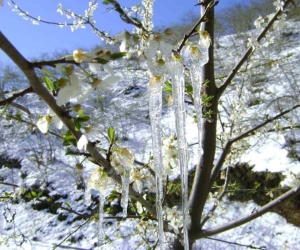 Muğla’da hava soğuyor, yağış geliyor