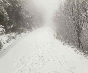 Yalova’da yüksek kesimler kar yağışıyla beyaza büründü