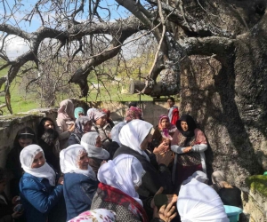 Diyarbakır’da ‘Murat Şenlikleri’ yapıldı