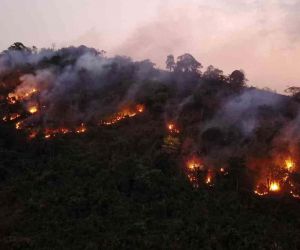 Tayland’da yıldırım düşmesi sonucu milli parkta yangın çıktı