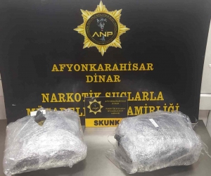 Otomobilde yapılan aramada 2 kilogram 290 gram skunk isimli uyuşturucu le geçirildi