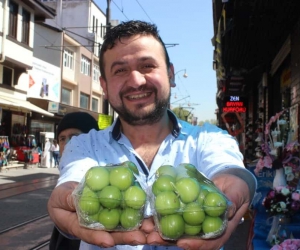 Fiyatı 300 liradan 25 liraya düşen süt eriği tezgâhları süslüyor