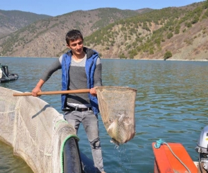 Karadere Barajında her geçen gün balık üretimi artıyor