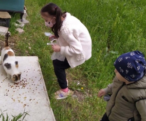 “Sokaktaki Kedileri Sevgiyle Besler Misin Projesi” ilgi gördü