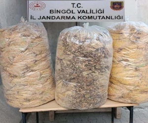 Bingöl’de 150 kilo yaprak tütün ele geçirildi
