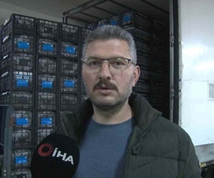 Kapadokya çileği ekonomiye 700 bin dolar katkı sağlıyor