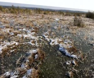 En yüksek metan kaynağı Sibirya’da donmuş halde bulunan turbalıklarda