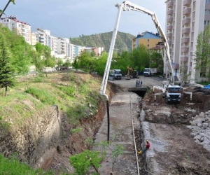 Vali Sonel, Demiroluk Varyant Düzenleme çalışmalarını inceledi