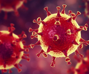 İnegöl’de kaç kişi koronavirüse yakalandı?