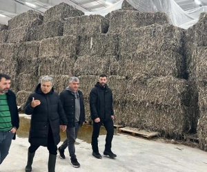 Kenevir işleme fabrikası çalışmaları sürüyor
