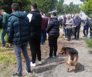Sokak köpeği Messi cenazelere katılıyor