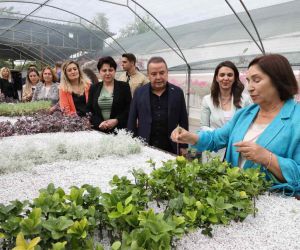 Selvi Kılıçdaroğlu Büyükşehir’in bitki üretim tesisini gezdi