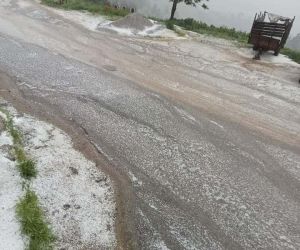 Yenice’de dolu yağışı etkili oldu