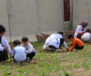 Minikler fidan dikti, büyükler halay çekti