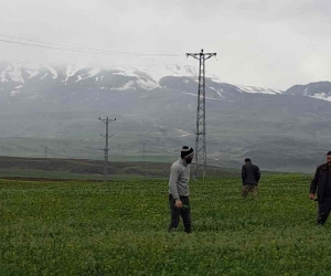 Mayıs ayında kar yağdı, vatandaş yeniden soba kurdu