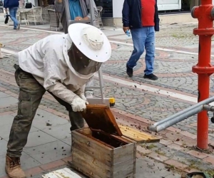 Edirne’nin en kalabalık caddesinde vatandaşları ısıran 20 bin arıyı 5 dakikada yakaladı