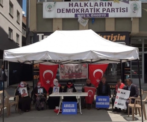 Evladı dağa kaçırılan anne: “Demirtaş’ı cezaevinden çıkaracaklardı. Şimdi çıkarsınlar da görelim”