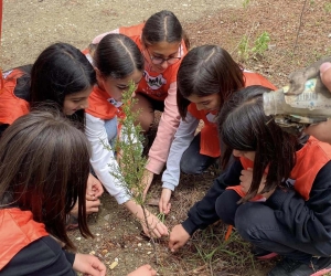 Taşova’da minik doğaseverler parkta fidan dikti