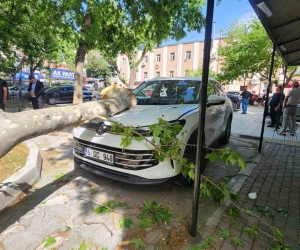 Çınar ağacının kopan dalı lüks araçta hasara yol açtı