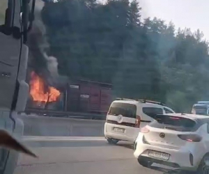 Hayvan yüklü kamyon alevlere teslim oldu