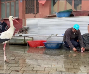Yaren’in rakibi Bilal Leylek baba oldu