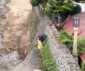 Derede mahsur kalan Kangal köpeklerini sahibi suya atlayıp kurtardı