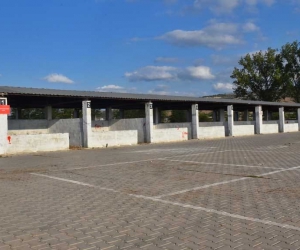 Bursa’nın Yenişehir ilçesinde şap karantinası