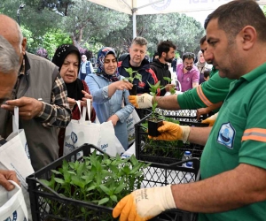 Yıldırım Belediyesi’nden 50 bin fide
