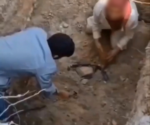 Bursa’da ölen köpekleri mezardan çıkarmaya çalıştılar