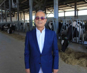 Süt üretiminde fazlalık var, Haziran’da değerlendirme yapılacak