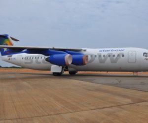 Yolcu uçağına leylek çarptı, Bursa-Ankara uçağı iptal edildi
