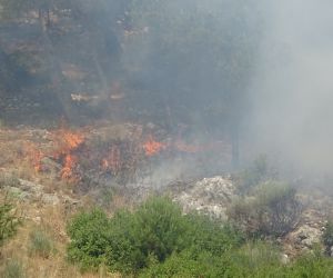 Hatay’da Habib-i Neccar Dağı’nda orman yangını